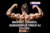 Maca Root, Fenugreek, Ashwagandha & Tongkat Ali: Full Guide