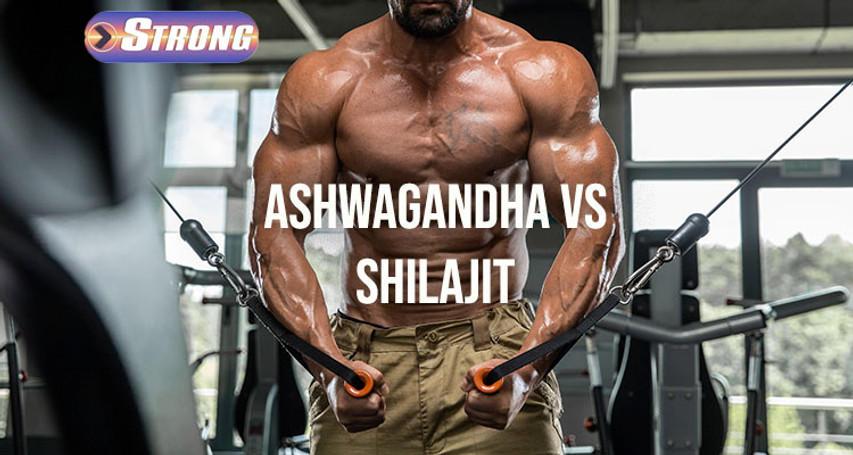 ​Ashwagandha vs Shilajit: Which One Is Right for You?