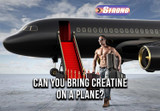 Can You Bring Creatine On A Plane? Tips For Safe Travel