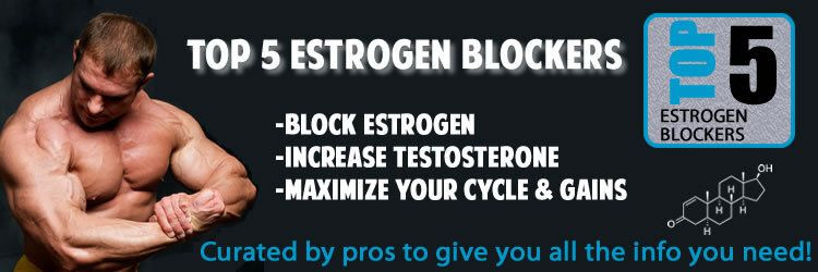 top 5 estrogen blockers ranked