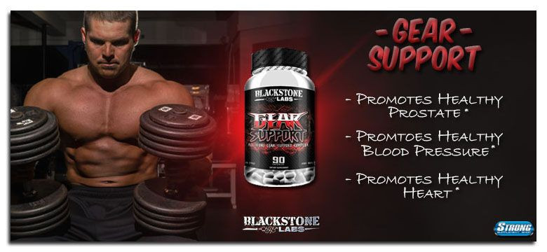 Get Gear Support by Blackstone Labs at Strong Supplement Shop Now!
