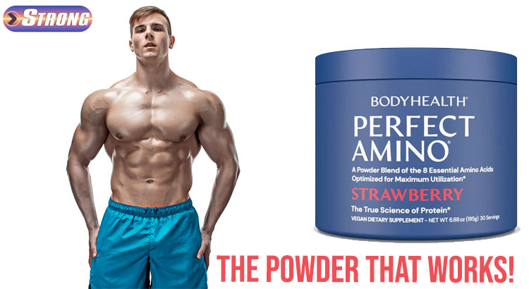 perfect amino powder 